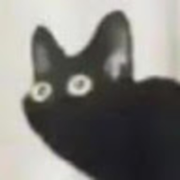 leslievenema
